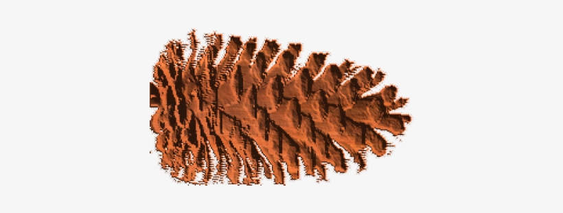 Pond Pine, transparent png download