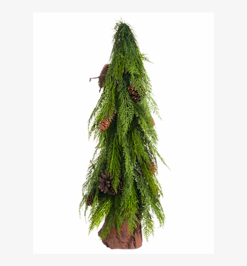 28" Pine Cone/pine Topiary In Poly Resin Pot Green - Christmas Tree, transparent png download