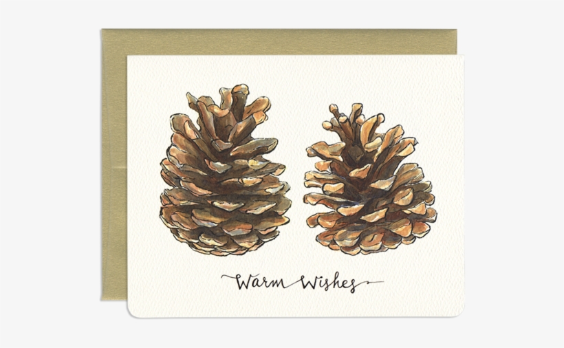 Nature Holiday Greeting Card - Pinecones Transparent, transparent png download