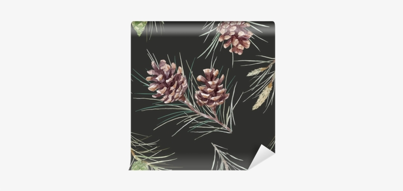 Watercolor Fir Cone Vector Pattern Wall Mural • Pixers® - Watercolor Painting, transparent png download