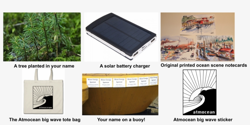 Whether You Give Us $20 Dollars For A Limited Edition - Plywood, transparent png download