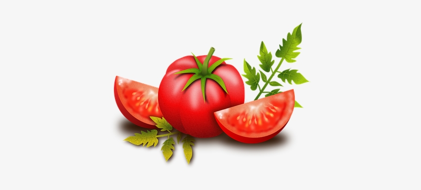 Tomato, Fruits, Vegetables, Plants, Food - Tomato, transparent png download