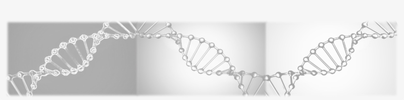 Box 13475, Research Triangle Park, Nc - Chain, transparent png download