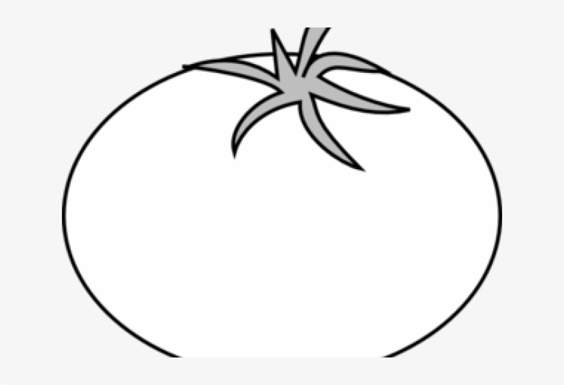 Drawn Tomato Gambar - Tap To Mau Qua Ca Chua, transparent png download