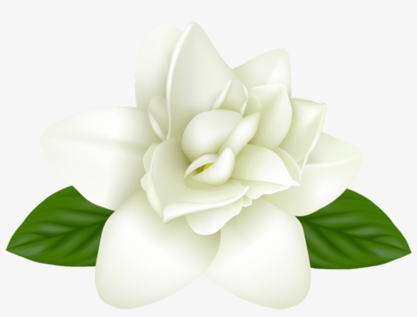 0, - Portable Network Graphics, transparent png download