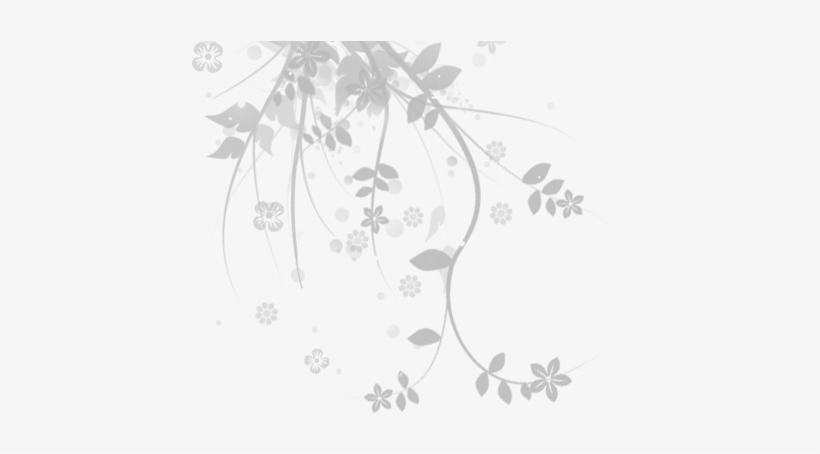 Transparent Background Flower White Png, transparent png download