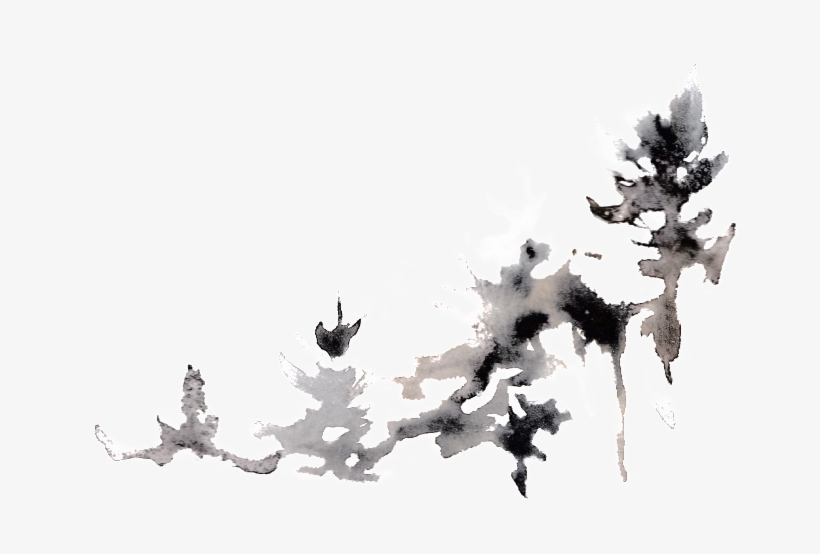 This Graphics Is Creative Pine Transparent Watercolor - Creativity, transparent png download