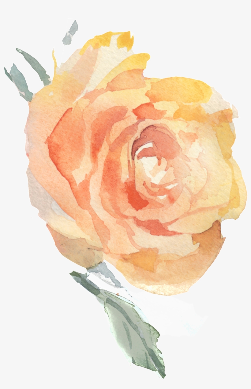 Transparent Ornamental For Pink Flowers - Garden Roses, transparent png download