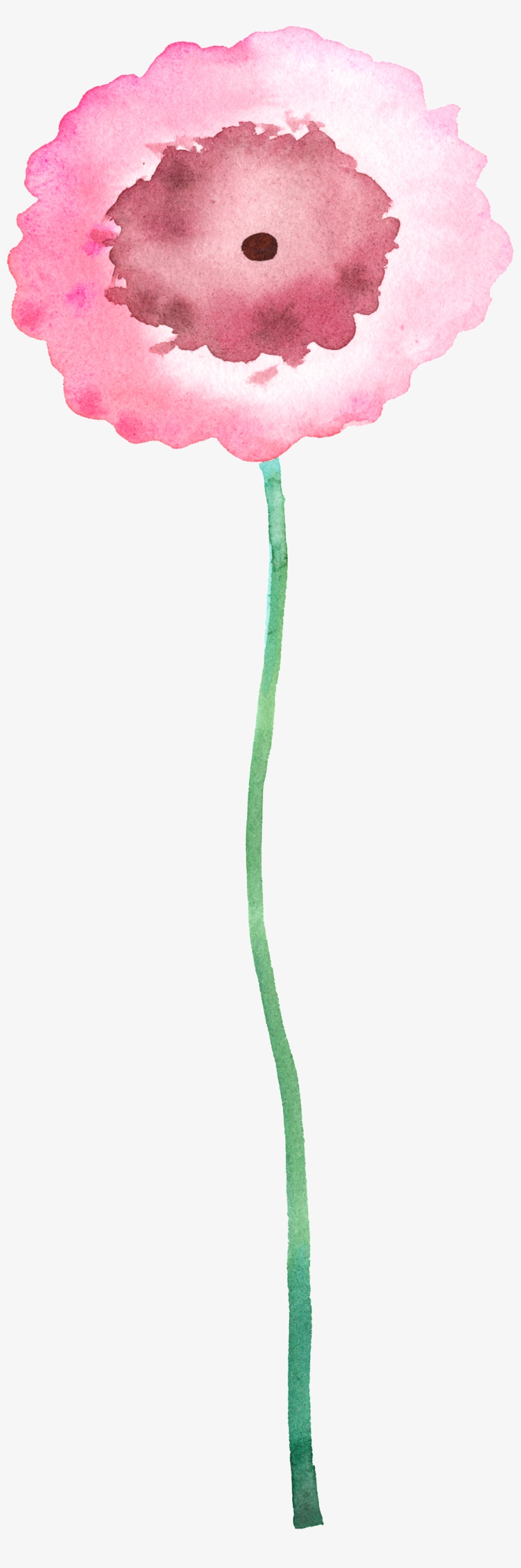 Watercolor Flowers - 放下，刹那花开, transparent png download