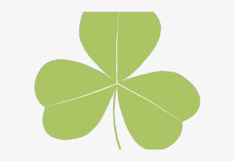 Clover Leaf Pictures - Clover Leaf, transparent png download