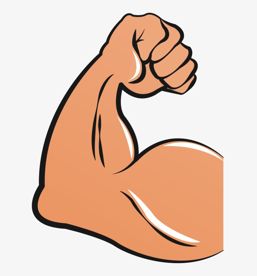 Biceps Femoris Muscle Arm Biceps Femoris Muscle Hand - Biceps Clipart, transparent png download
