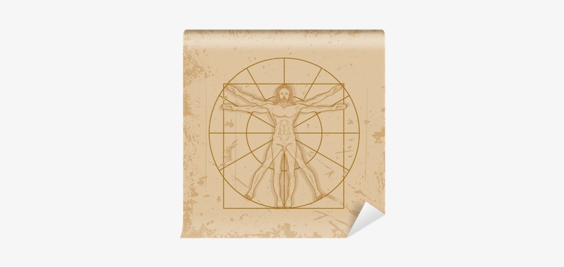 Vitruvian Man By Leonardo Da Vinci Wall Mural • Pixers® - Circle, transparent png download