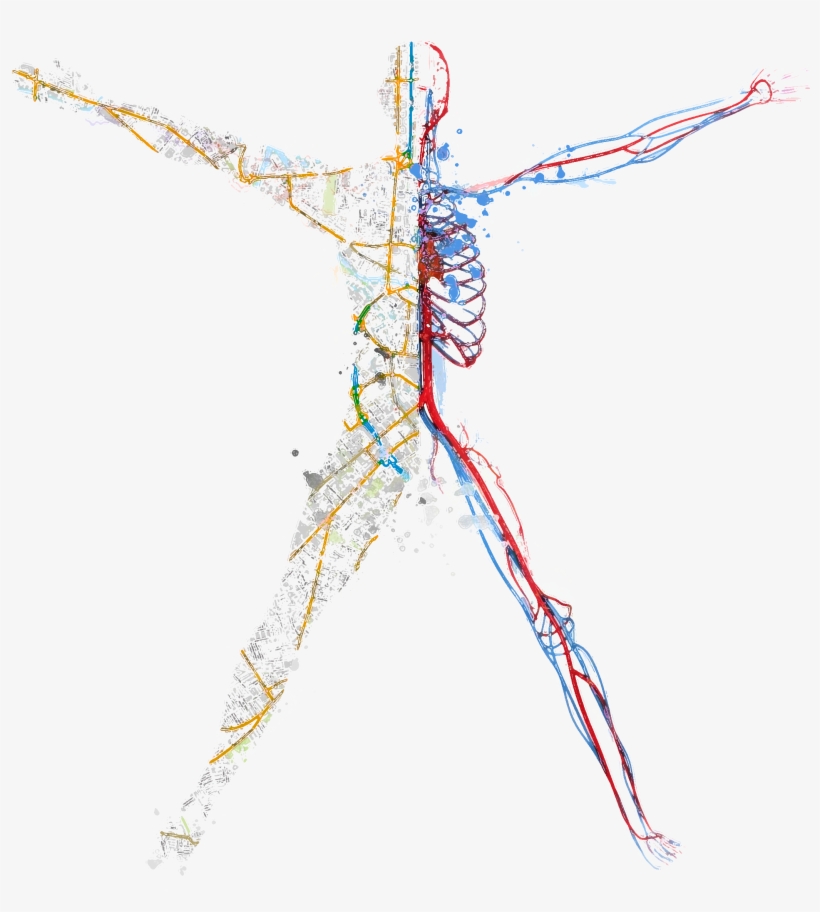 Over Forty Years Ago, Dr, transparent png download