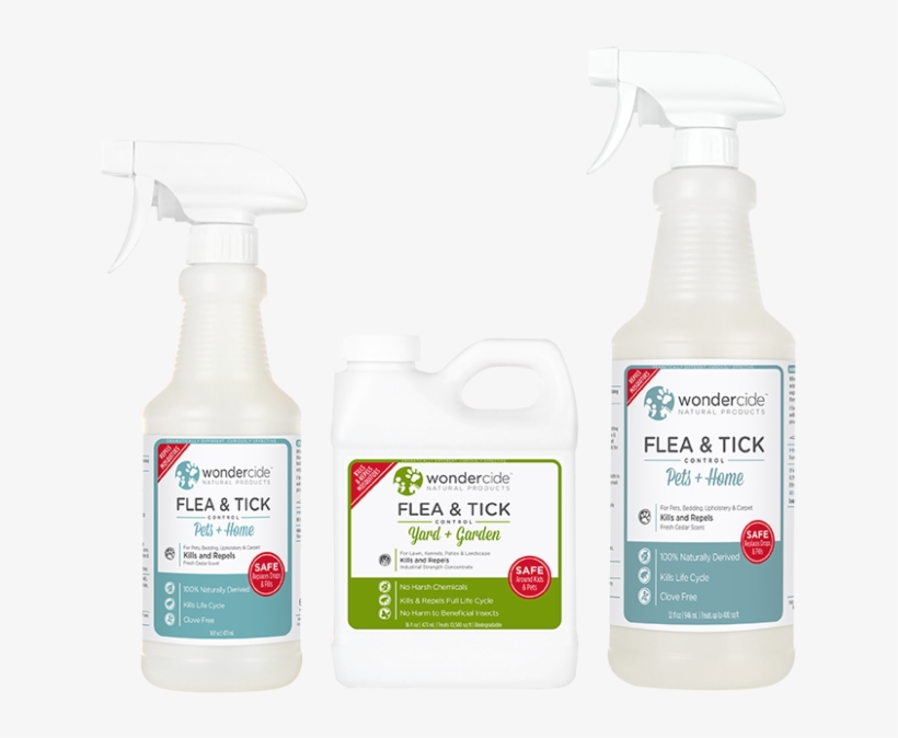 Early Intervention Kit, transparent png download