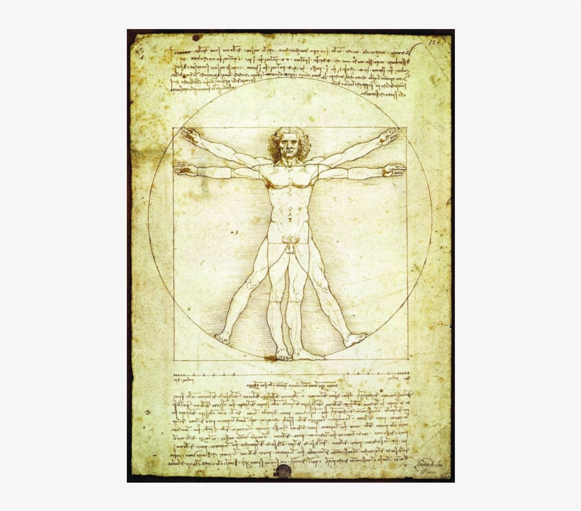 The Vitruvian Man - Leonardo Da Vinci, transparent png download