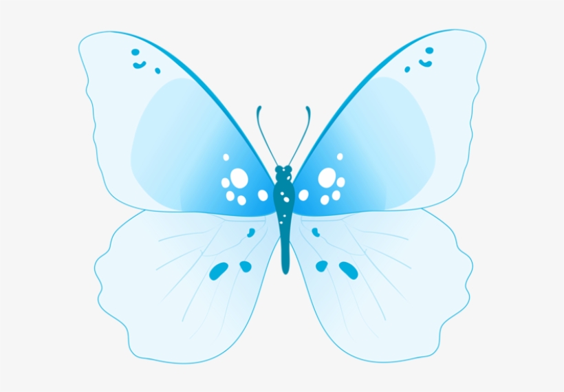 0, - Portable Network Graphics, transparent png download