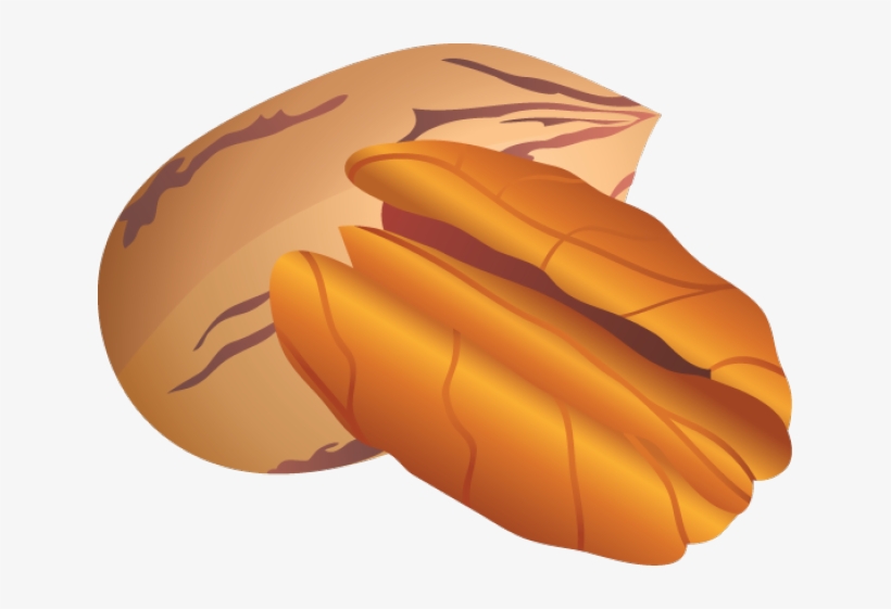 Pecan Pie Pumpkin Pie Apple Pie Clip Art - Pecan Clipart, transparent png download