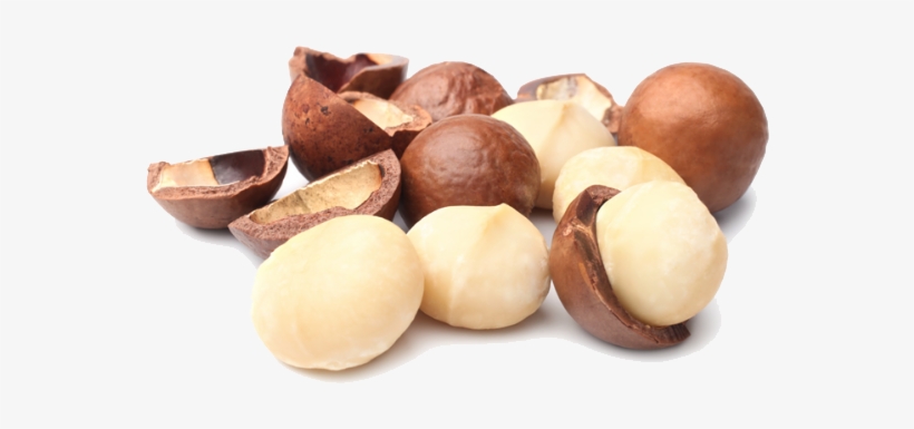Macadamia Nuts Png Photo - Macadamia Nuts, transparent png download