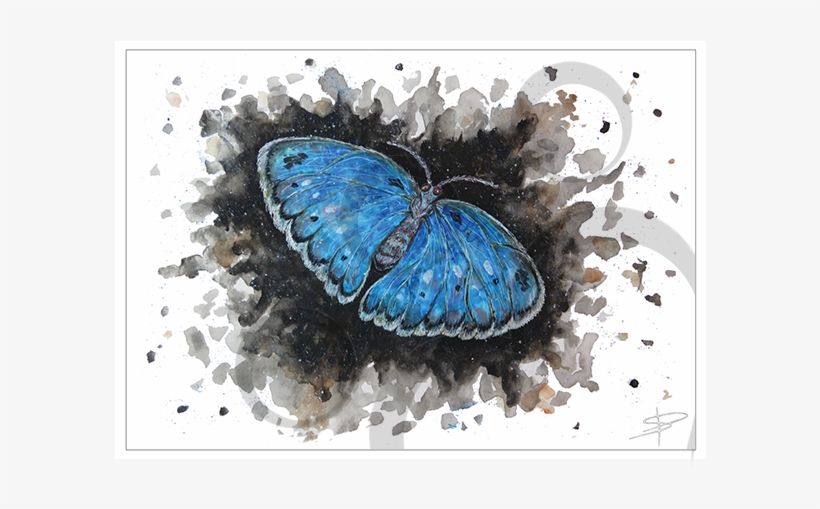 Butterfly Card - Butterfly, transparent png download