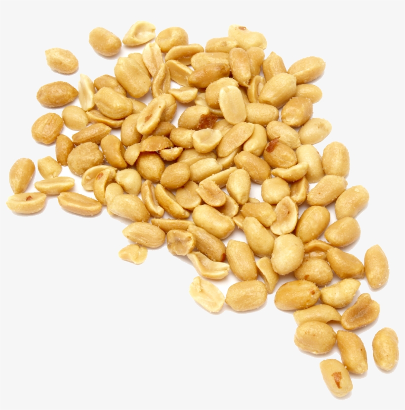 Download Overview Image - Food | Transparent PNG Download | SeekPNG