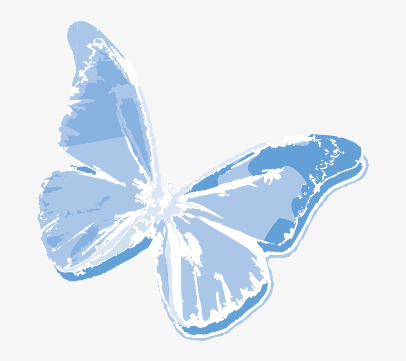 New Release - Brush-footed Butterfly, transparent png download