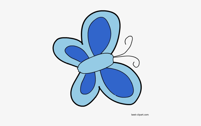Butterfly, transparent png download