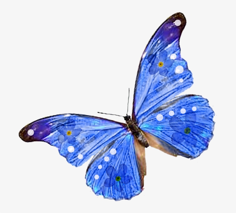 Blue Butterfly Png - De Papillon Qui Bouge, transparent png download