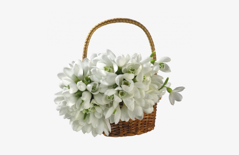 Snowdrop Clipart Bouquet - Basket With Flowers Png, transparent png download