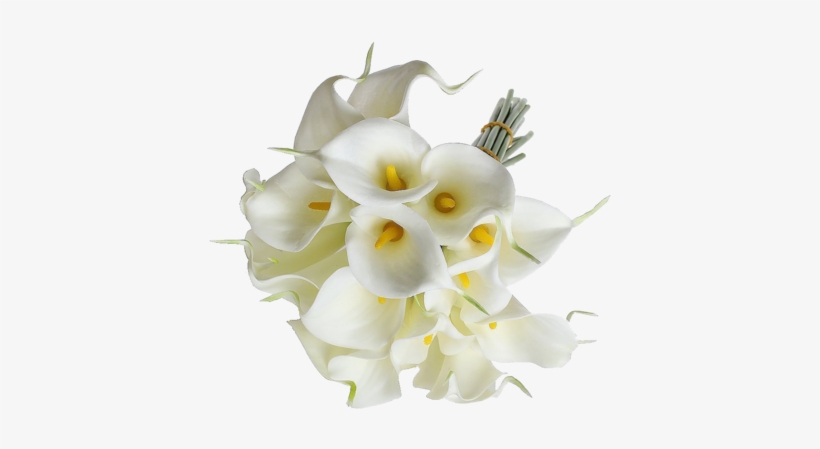Eforcase Refreshing Calla Lily Bridal Wedding Bouquet - Transparent Calla Lily Bouquet Png, transparent png download