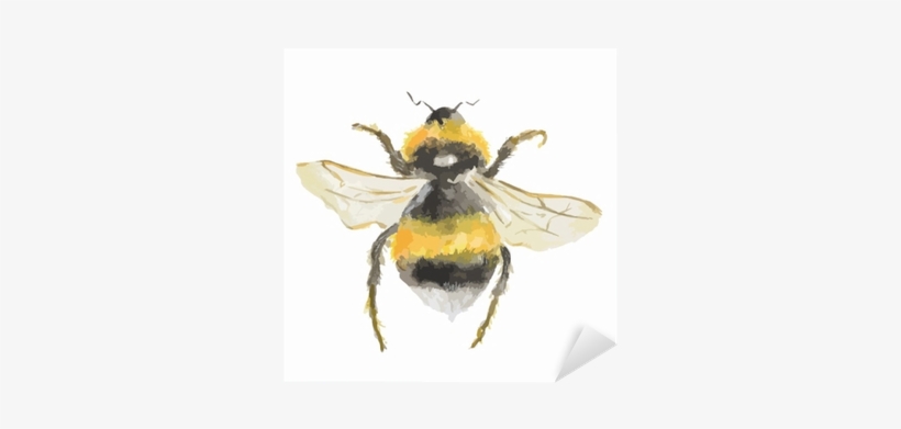 Isolated Watercolor Bee On White Background - Watercolor Painting, transparent png download