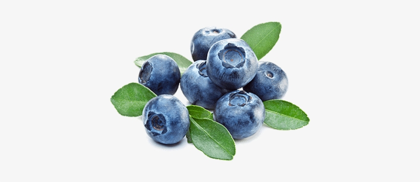 Blueberries And Leaves - Makaton Sign For Blueberry, transparent png download