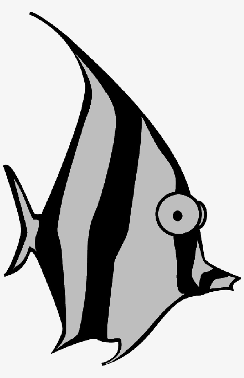 Mb Image/png - Angel Fish Cartoon, transparent png download