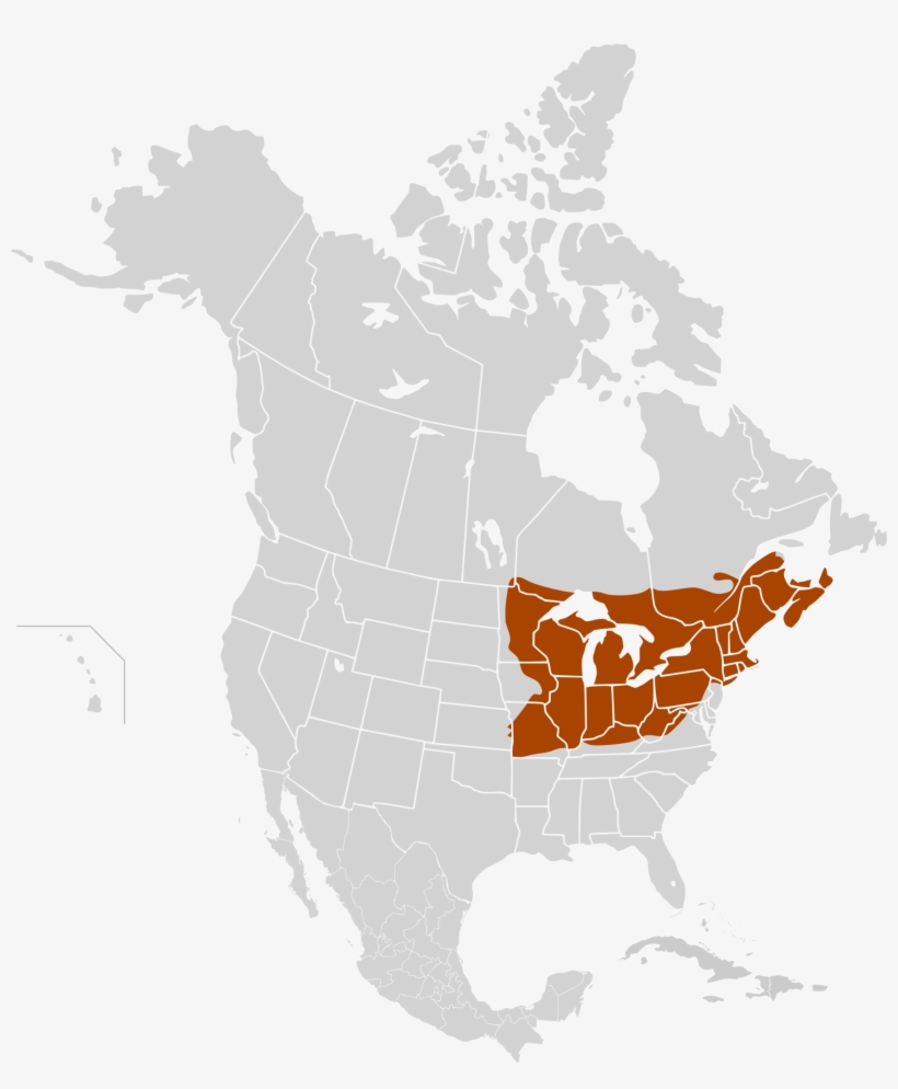 Maple Syrup Production - Chihuahuan Desert On World Map, transparent png download