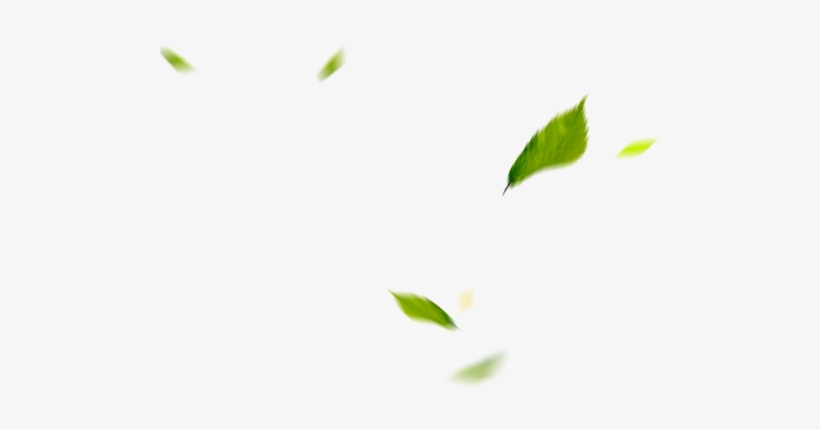 Leafs - Leafs Png, transparent png download