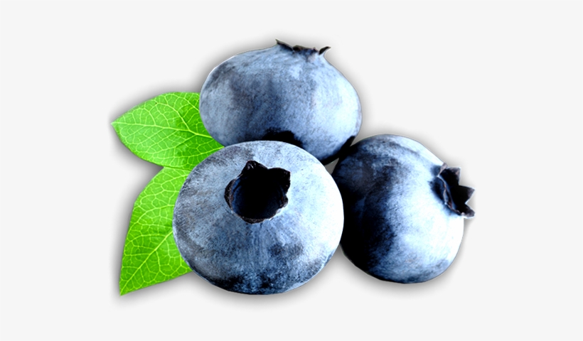Iphone - Blueberry, transparent png download