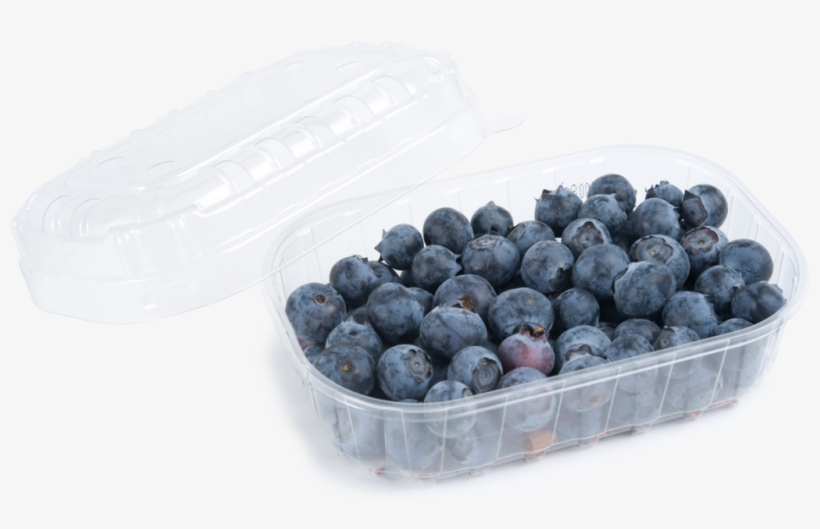 C - Tarrinas De Arandanos, transparent png download