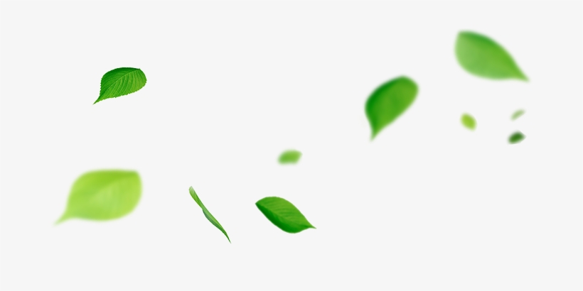 Leafs Png, transparent png download