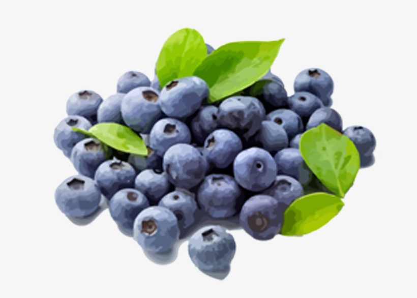 Blueberries - Blueberries Fruit Png, transparent png download