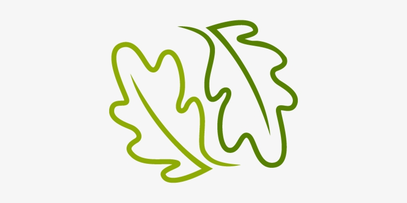 Logo-leafs - Oakeson Steiner Wealth & Retirement, transparent png download