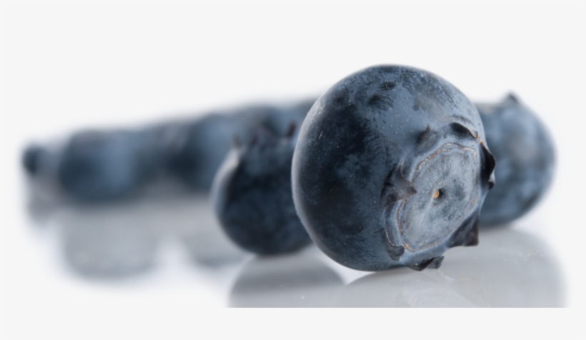 Blueberries - Bilberry, transparent png download