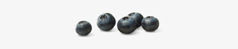 Blueberries - Gif, transparent png download