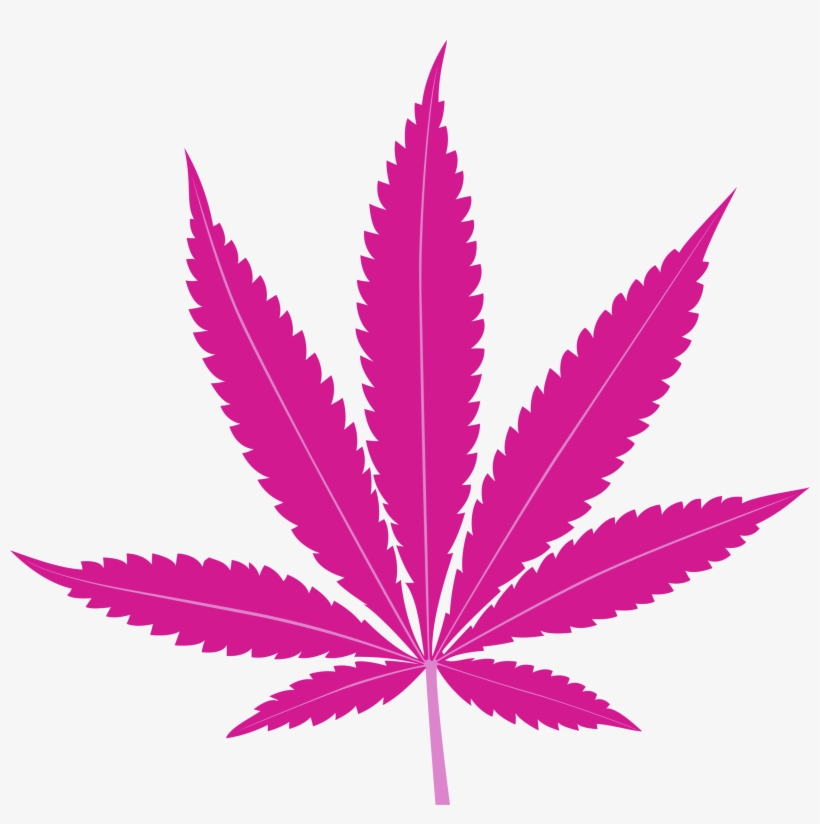 Here's What Research Says About Breast Cancer And Cannabis, transparent png download