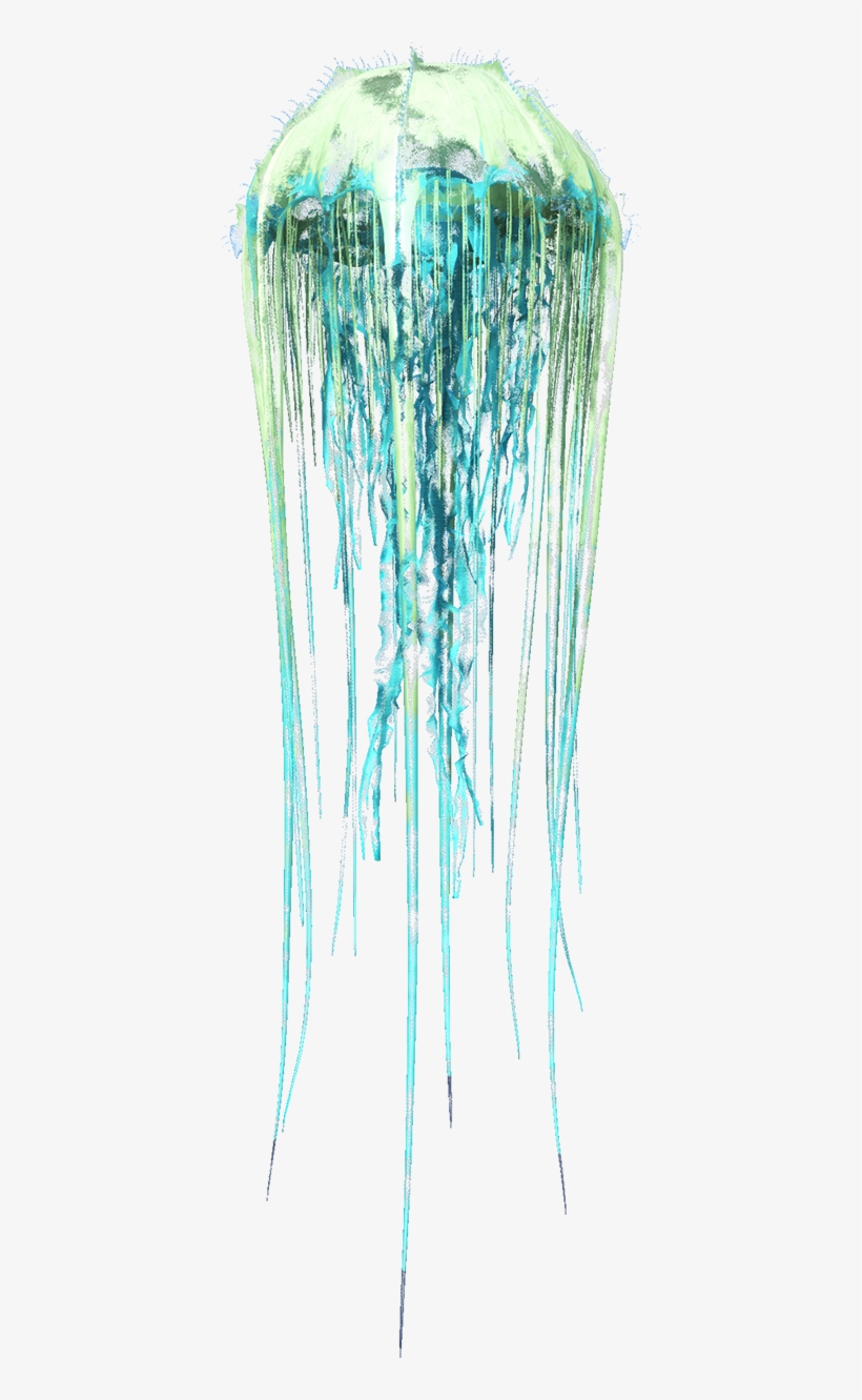 Cnidaria Ark Survival Evolved Jellyfish PNG Image Transparent PNG