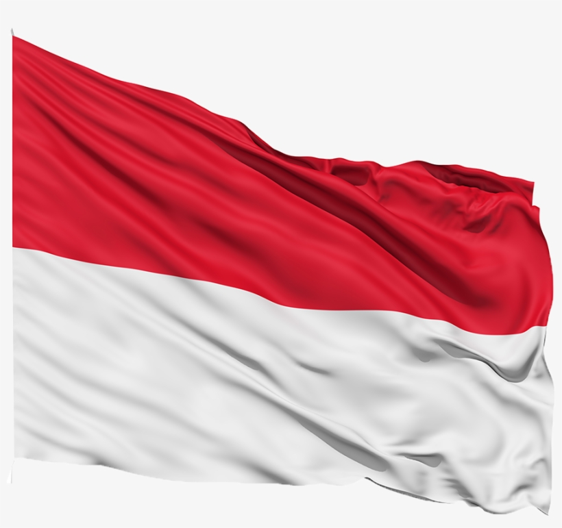 Indonesia Flag - Illinois State Seal And Flag, transparent png download