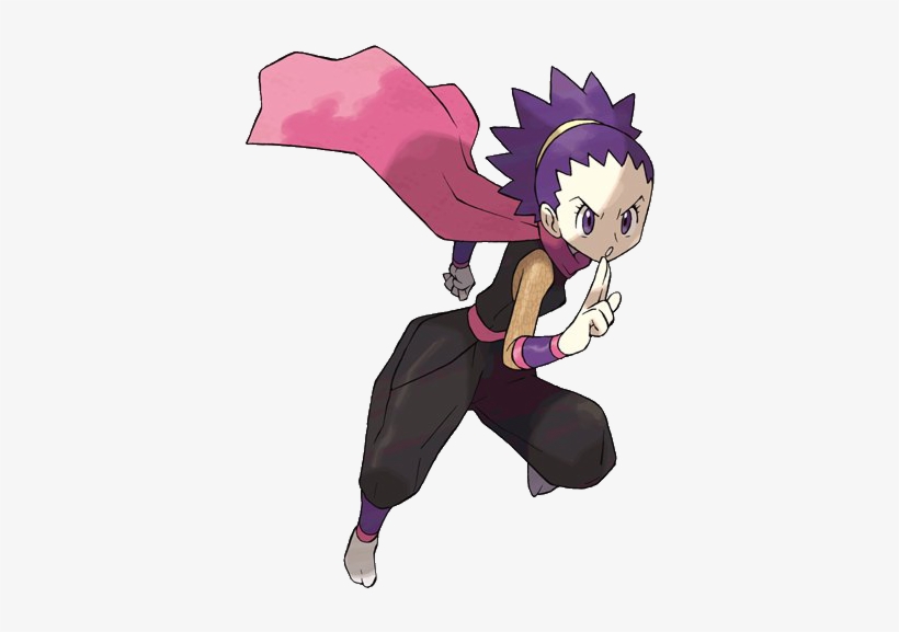 Poison Gym Leaders, transparent png download