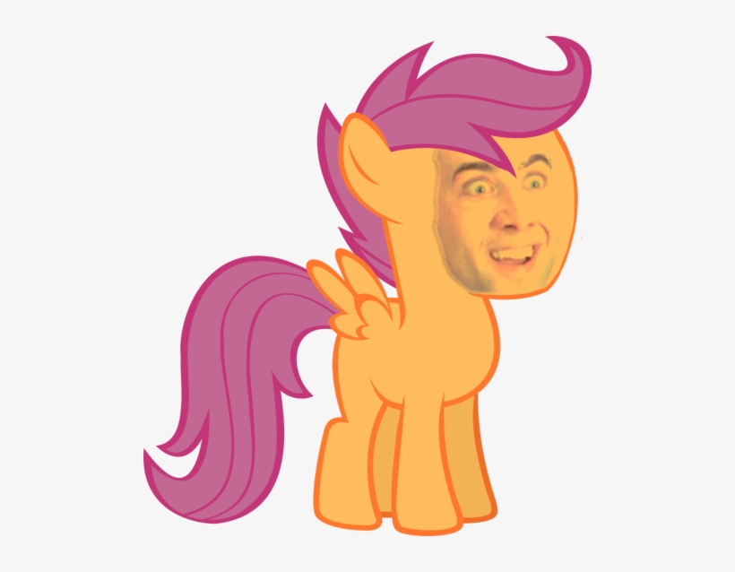 Agreed - - Pony Friendship Is Magic Scootaloo, transparent png download