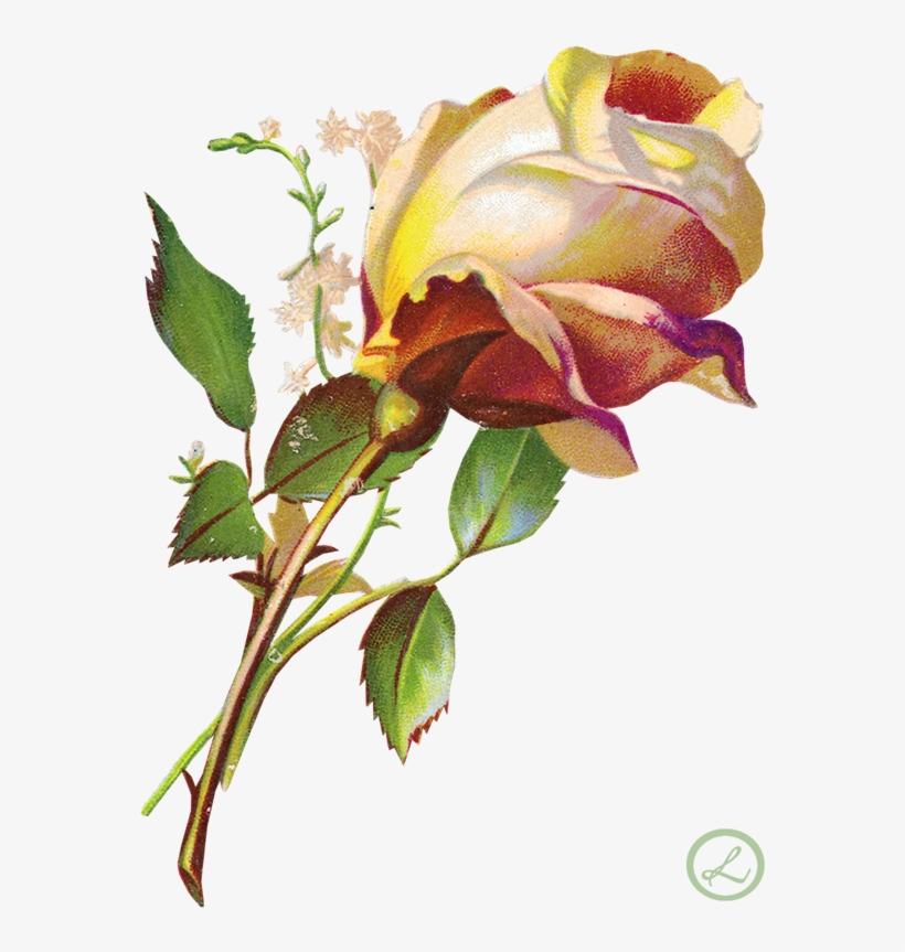 Vintage Flores - Ecstasy Crafts 3-d Precut Sheet - Flowers Yellow Roses, transparent png download