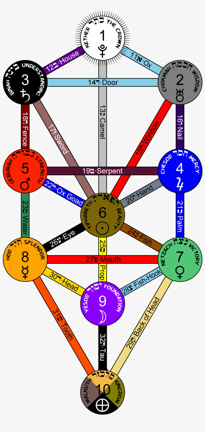 Tree Of Life Queens Colour - Hidden Treasures Of The Ancient Qabalah, transparent png download