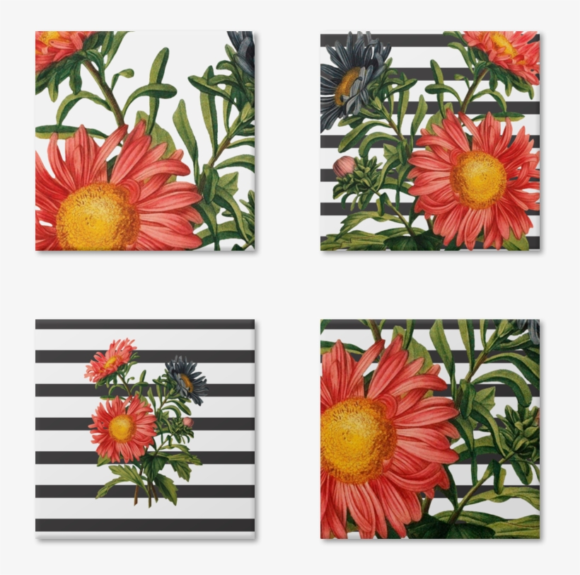 Magneto As Flor De Thaís Gijonna - Flower, transparent png download