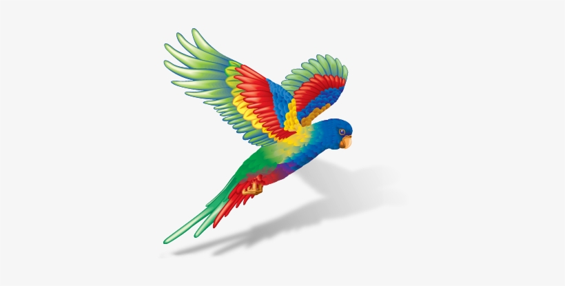 Flying Colours Printing, transparent png download